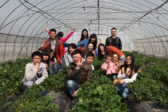 世邦員工采摘草莓